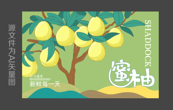 柚子插画包装