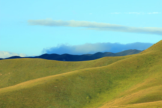 高山