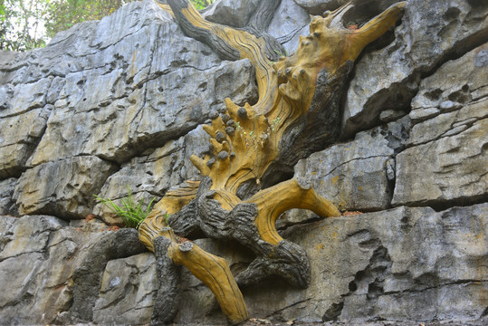 荔波小七孔岩壁老树雕塑