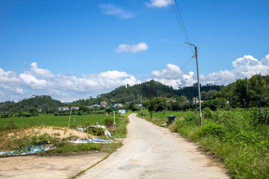 农村道路