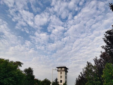 小楼天空