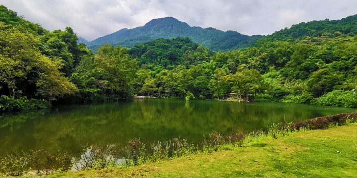 野趣谷湖畔