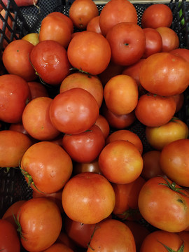 西红柿蔬菜背景
