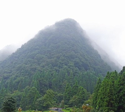 雾中青山