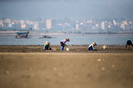 海滩