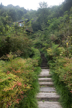 石板路