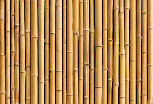 竹排竹围栏背景