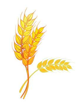 工笔中国风农作物丰收成熟的麦穗