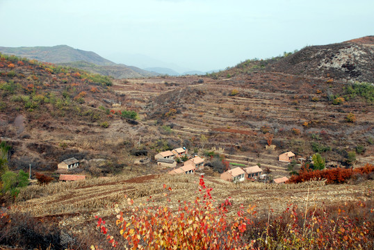 山村风光