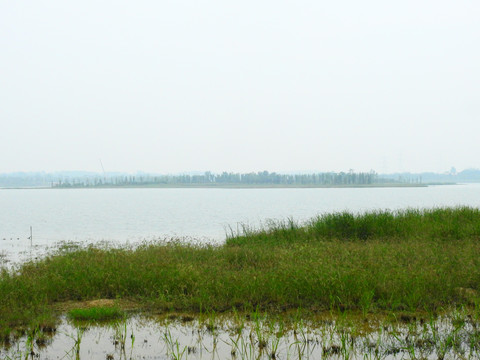 鄱阳湖湖心岛