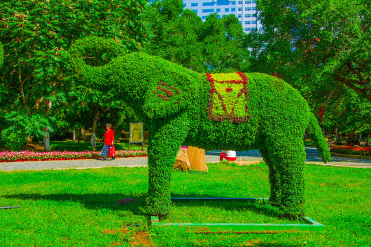 沈阳中山公园大象园艺造型左侧