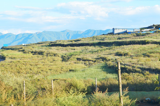 云南雪桃基地