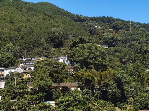 山野人家