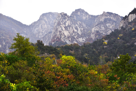 大山秋色秋光