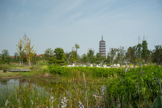 扬州扬子津湿地公园