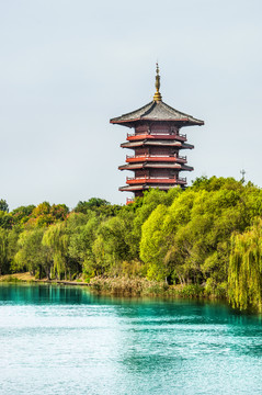 潍坊白浪河湿地公园