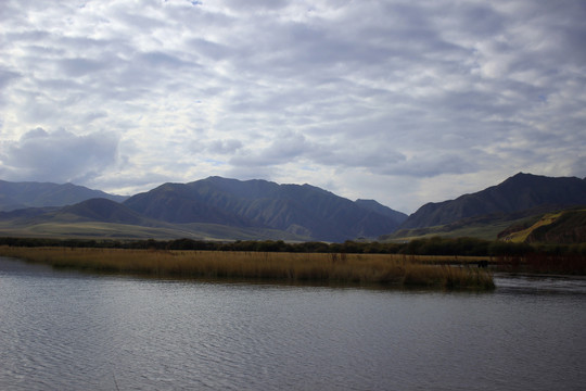 桑科湿地公园