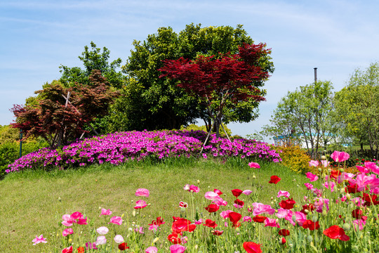 郊野公园景观景色