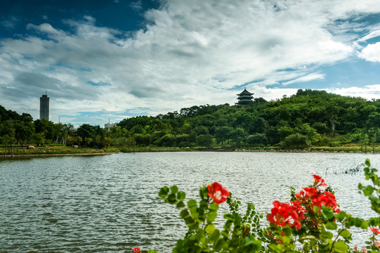 广西南宁青秀山叶子花园湖光山色