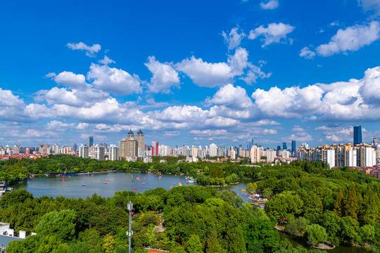 长风公园全景