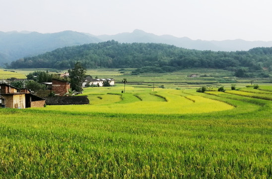 田园风光