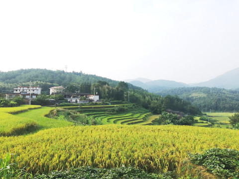 田园风光