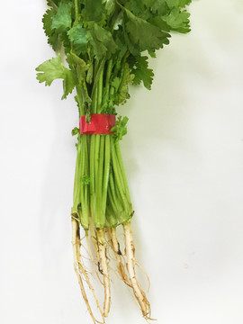 香菜