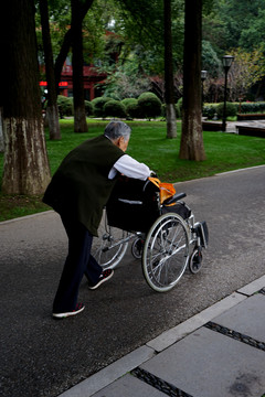 公园里推着轮椅的老人