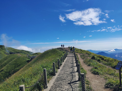 高山草甸