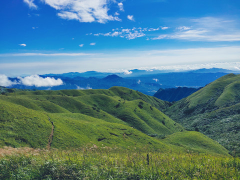 高山草甸