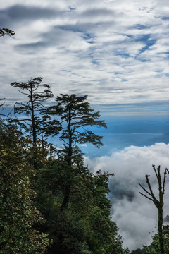 峨眉山云海