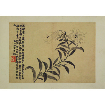 金农花卉图