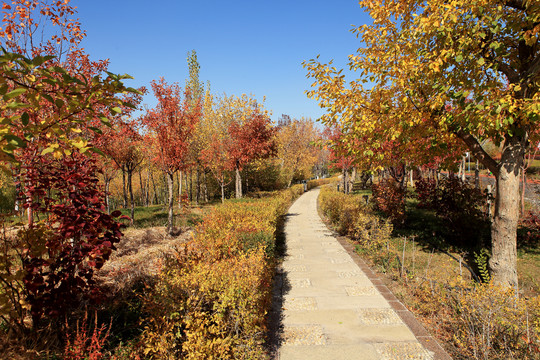 小绿谷公园秋景