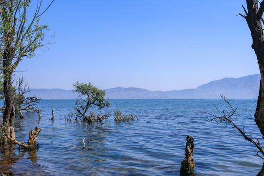 大理洱海