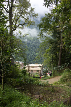 森林里的村庄