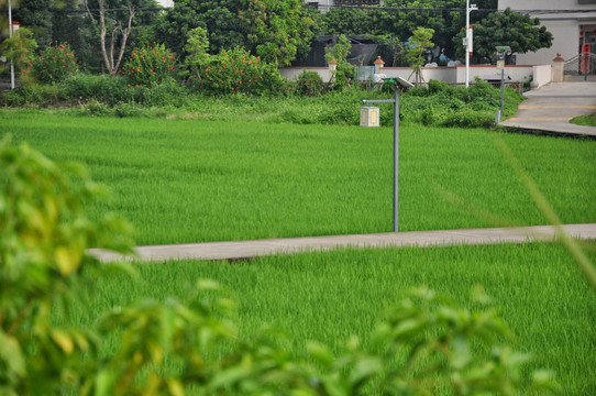 田园风光