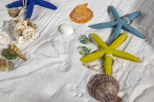 海星贝壳与沙滩