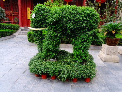 大象绿植造型