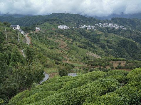 皖南山村坡山9