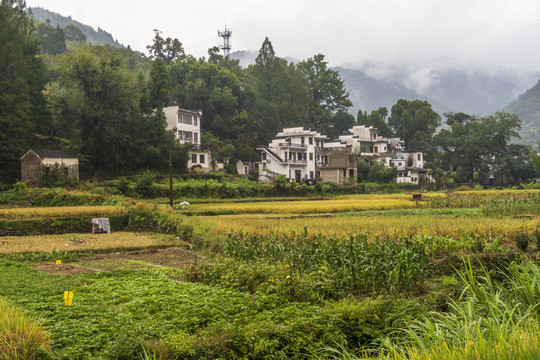 皖南山村坡山32