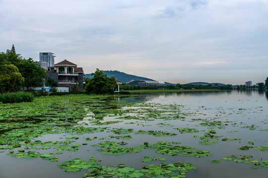 南京玄武湖