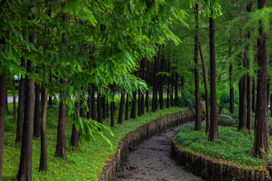 上海汽车博览公园夏天景观