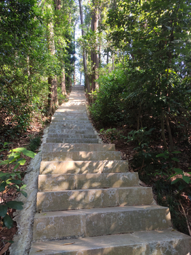 翠竹公园登山石阶