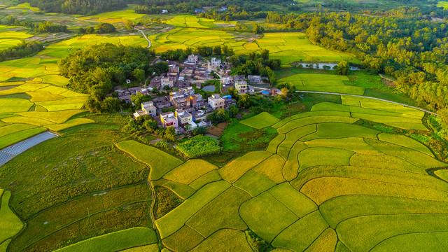 美丽乡村景色