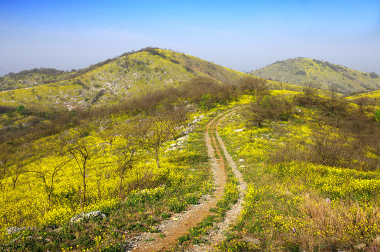 滁州丰山岭风光