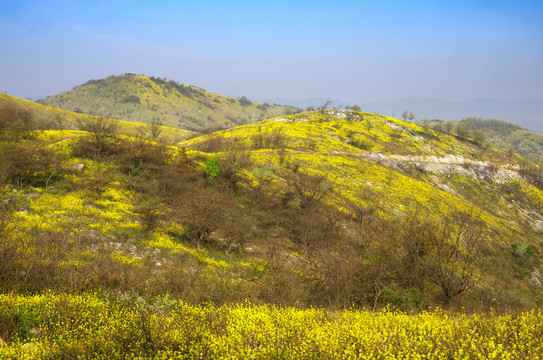 滁州丰山岭风光