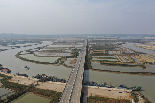 青岛胶州红岛大沽河大桥