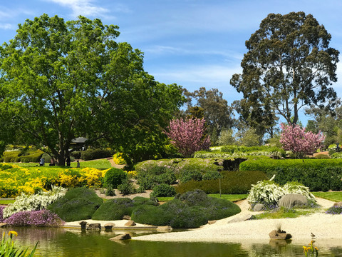 澳大利亚考兰日本花园
