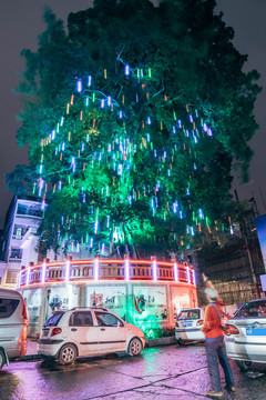 广西容县夜景大榕树榕木根电力