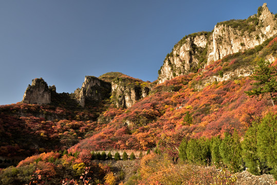 河北省石家庄市平山县沕沕水景区